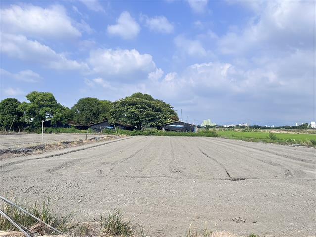 生產者圖片
