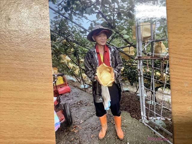 生產者圖片