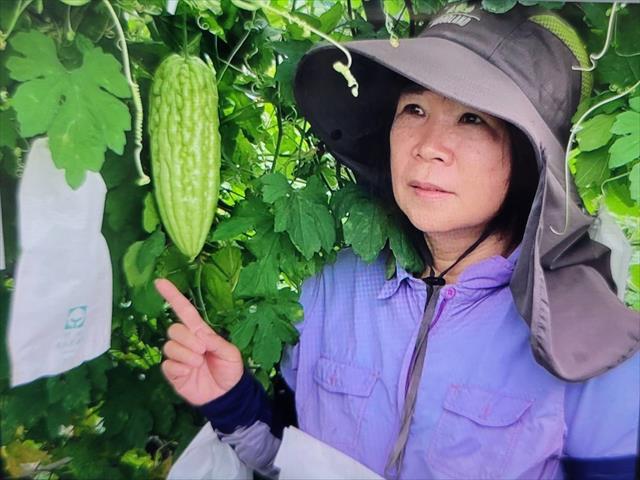 生產者圖片