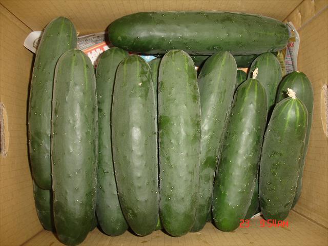 生產者圖片
