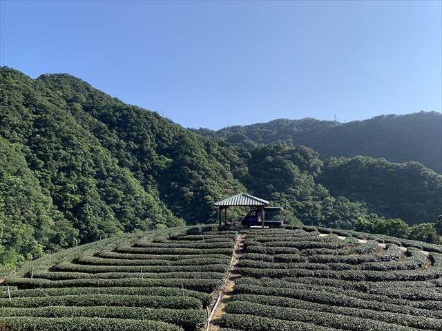 生產者圖片