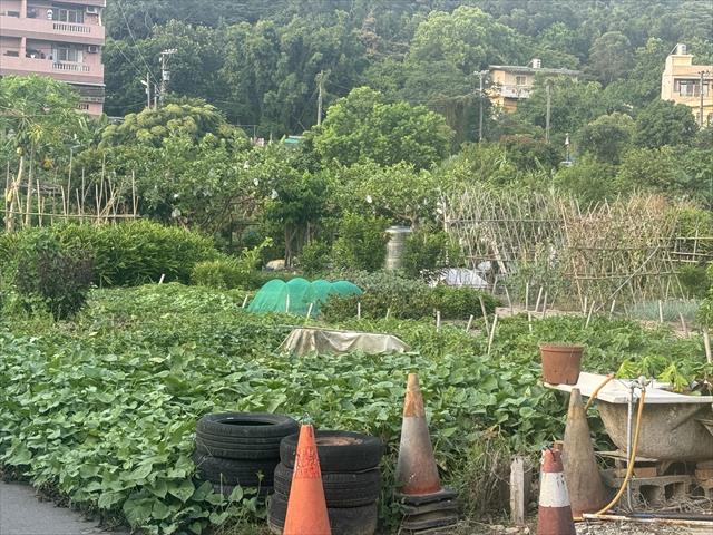生產者圖片