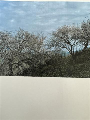 生產者圖片
