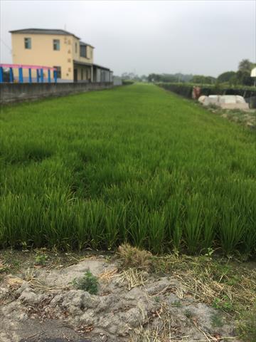 生產者圖片