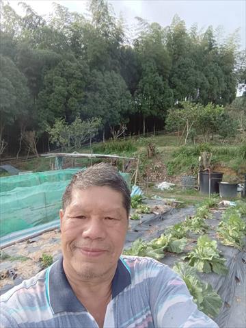 生產者圖片