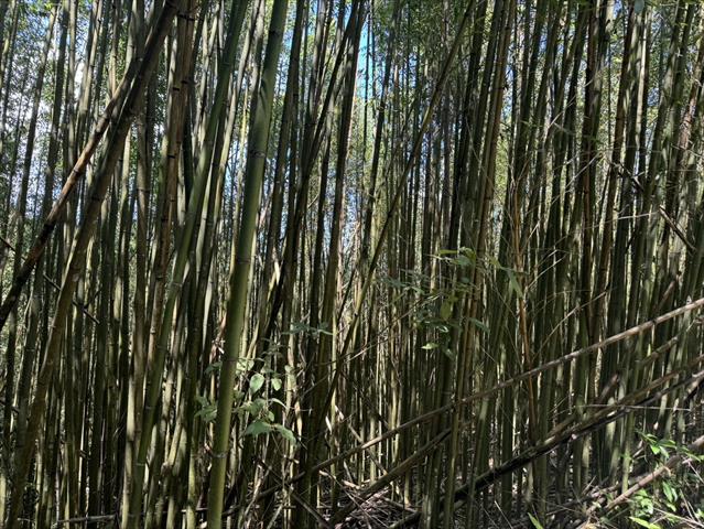 生產者圖片