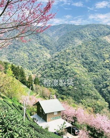生產者圖片