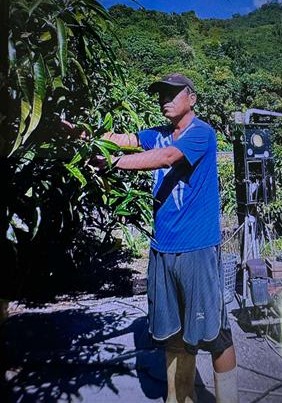 生產者圖片