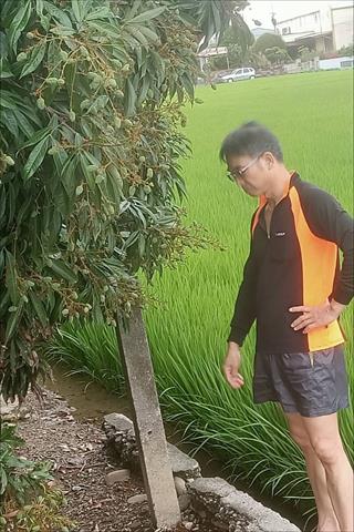 生產者圖片