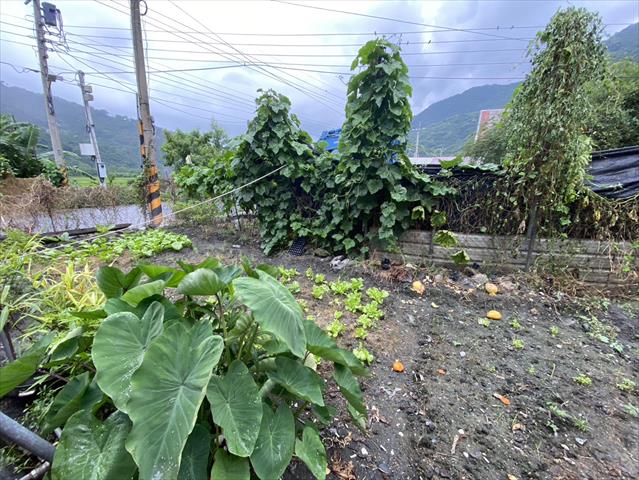 生產者圖片