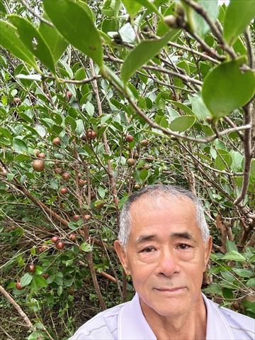 生產者圖片