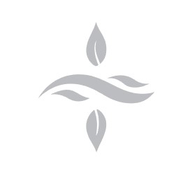 生產者圖片