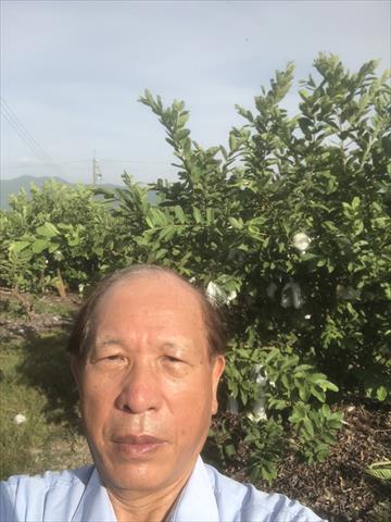 生產者圖片