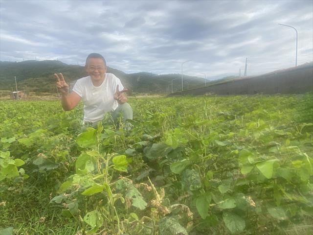 生產者圖片