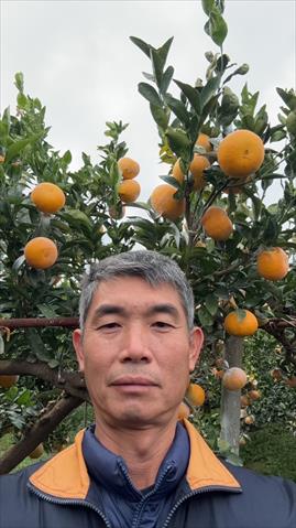 生產者圖片