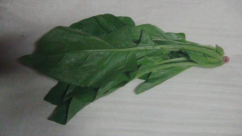 生產者圖片