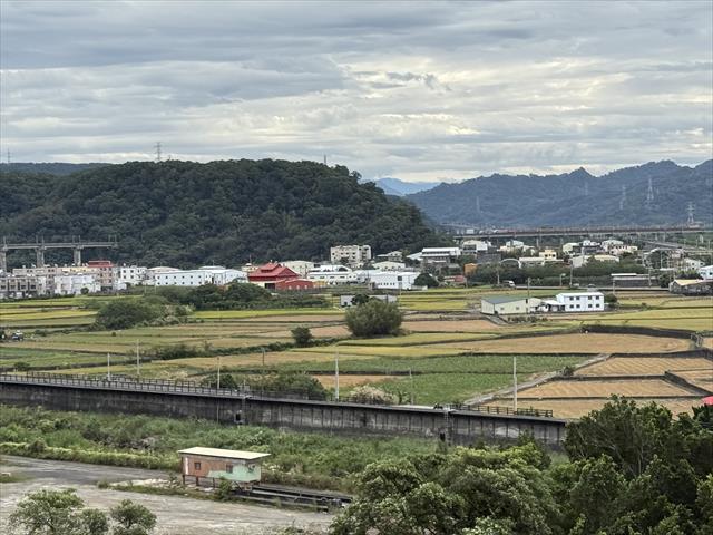生產者圖片