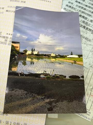 生產者圖片
