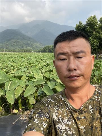 生產者圖片