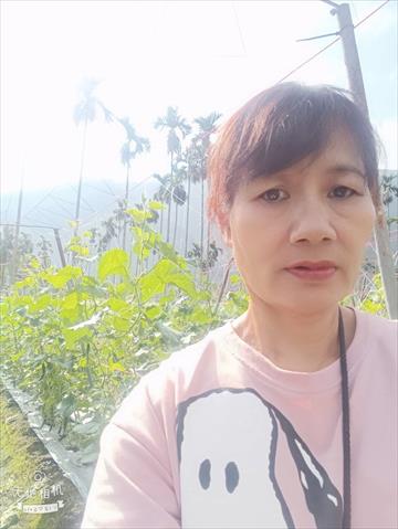 生產者圖片