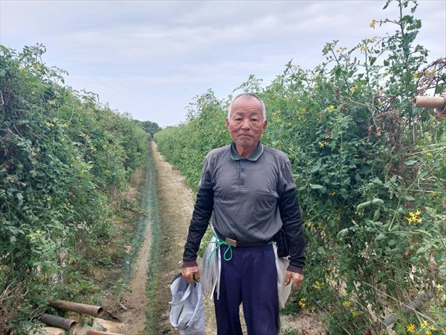 生產者圖片