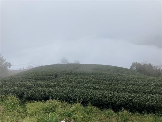 生產者圖片