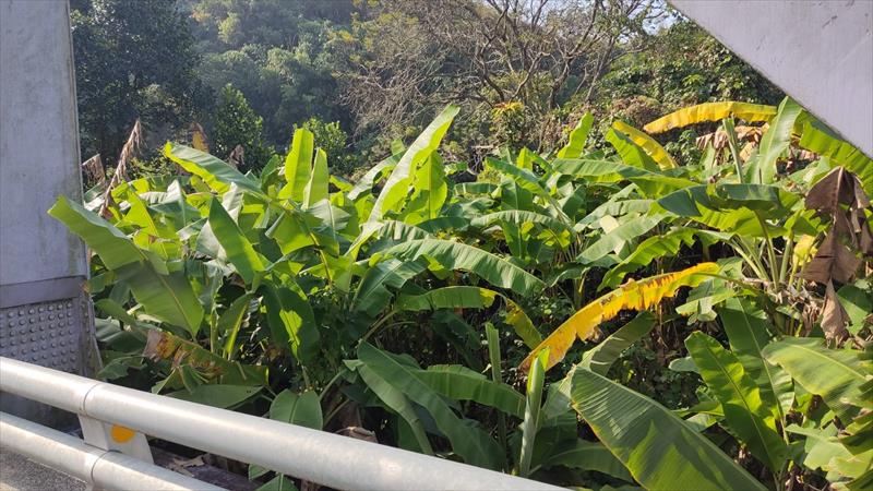 生產者圖片