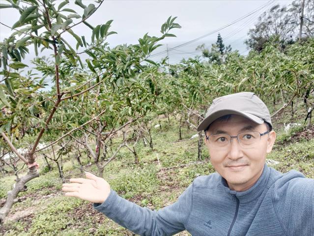生產者圖片