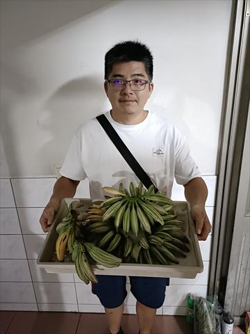 生產者圖片