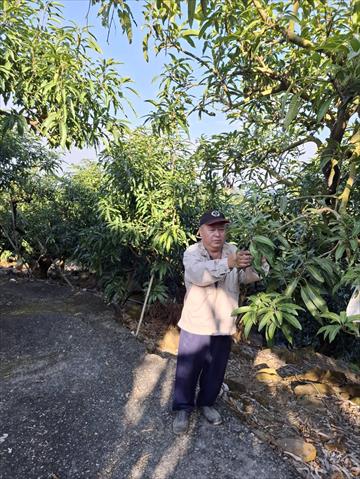 生產者圖片