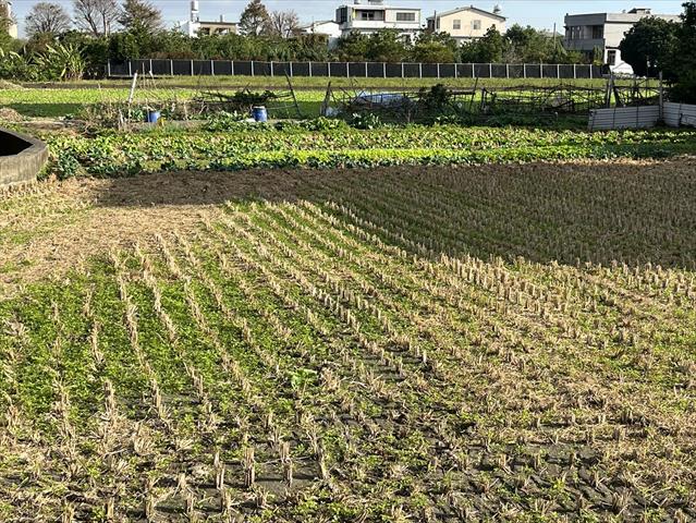 生產者圖片