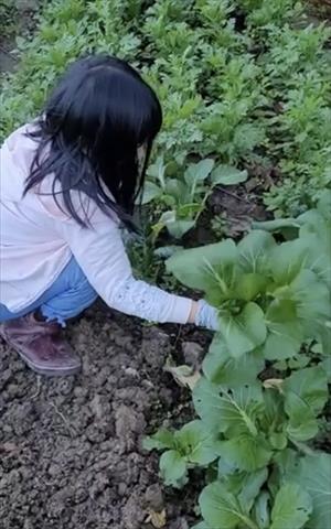 生產者圖片
