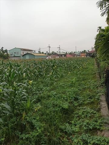 生產者圖片