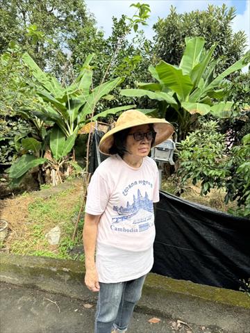 生產者圖片