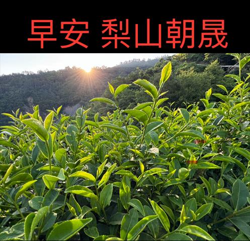 生產者圖片