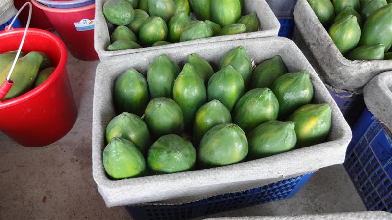 生產者圖片