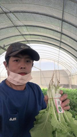 生產者圖片