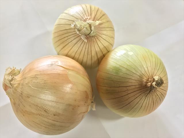 生產者圖片