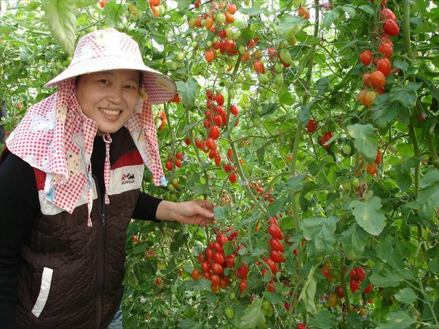 生產者圖片