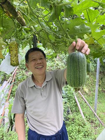 生產者圖片