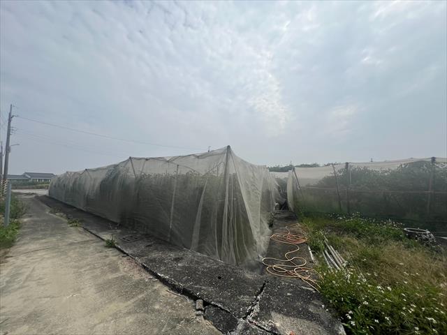 生產者圖片