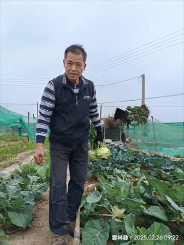 生產者圖片