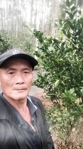 生產者圖片