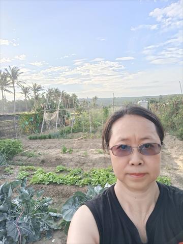 生產者圖片