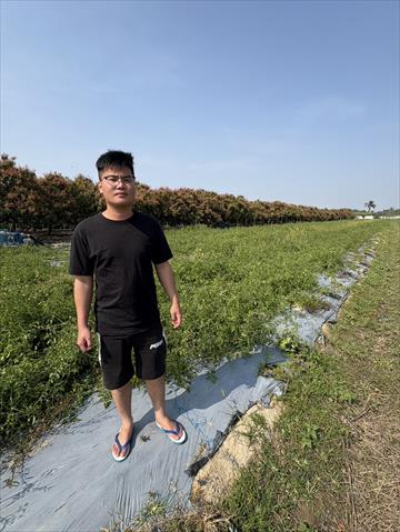 生產者圖片