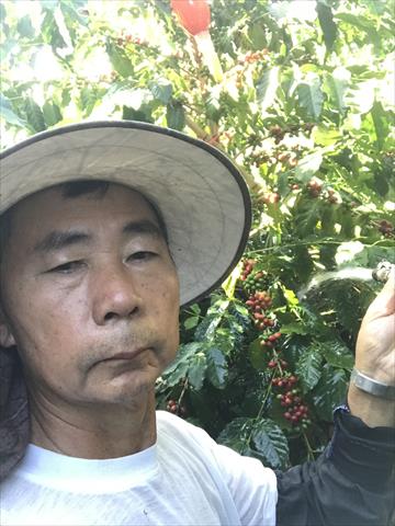 生產者圖片