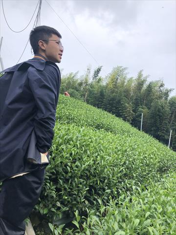 生產者圖片