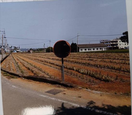 生產者圖片