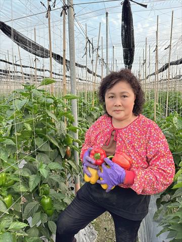 生產者圖片
