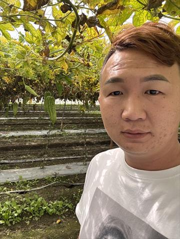 生產者圖片